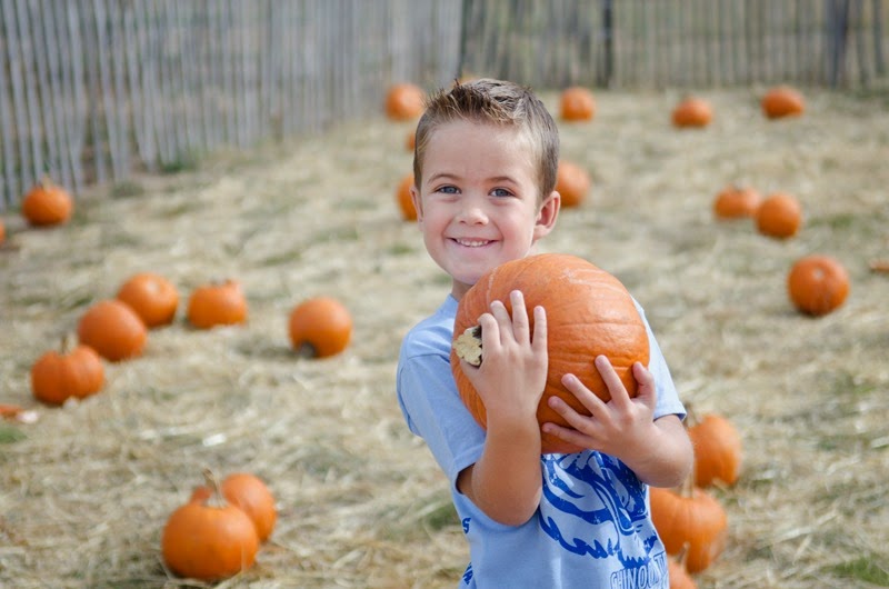 pumpkinpatchMatt-1