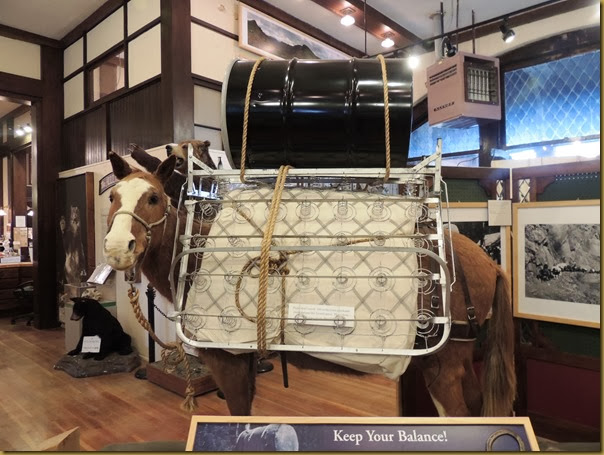 Pack mule carrying camping necessities for the stagecoach tours