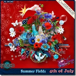 4th of July Coordinating Product 4th of July Coordinating Product