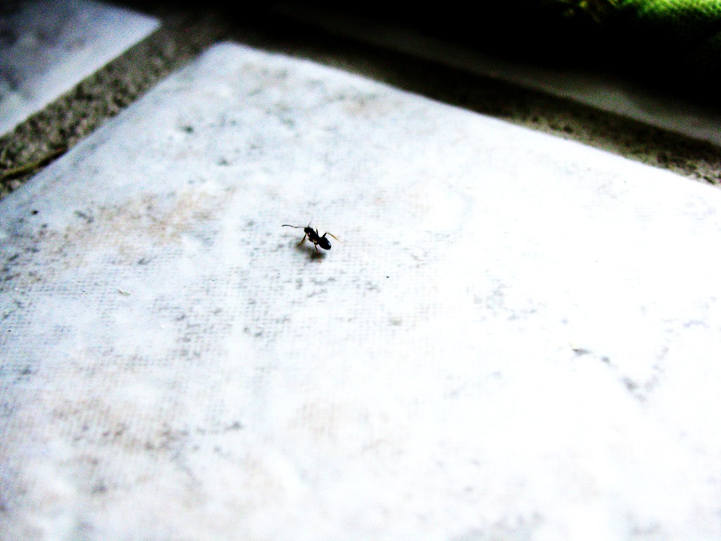 [IMG_3240%255B4%255D.jpg]