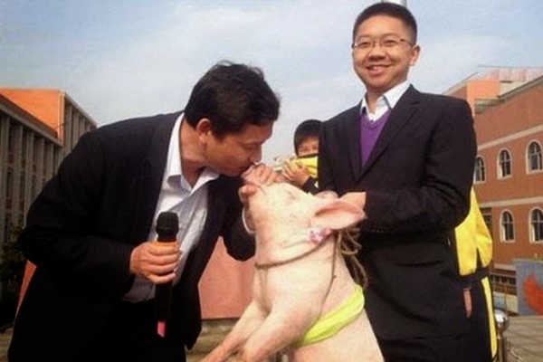 2- Diretor de escola na China beijou um porco 2- Diretor de escola na China beijou um porco