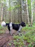 DSCN0380.JPG