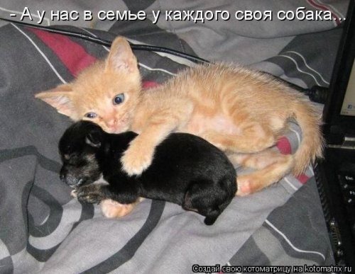 [1305242876_kotomatritsa-11%255B4%255D.jpg]