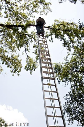 [2011-06-22_Wild_Art_Emilia.Harris115%255B1%255D.jpg]
