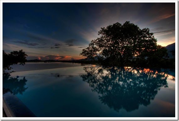 kandalama-hotel-dambulla-sri-lanka-infinity-pool