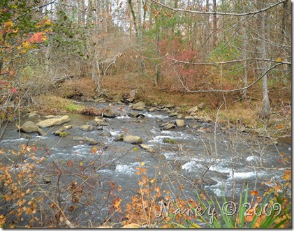 November 2009 138 (2)