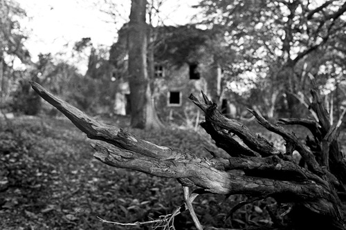 Nettleham Hall 12 - Film