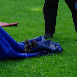 IMGP6086.jpg