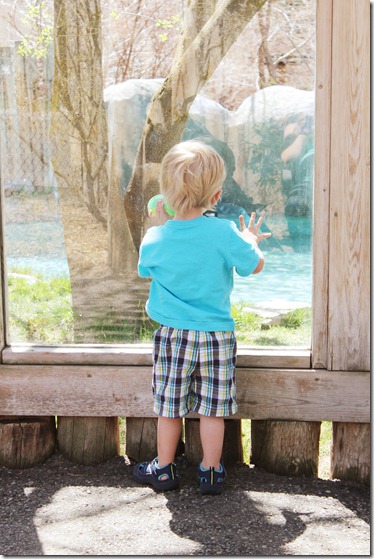 137 tautphaus park zoo
