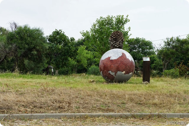 DSC DSC
