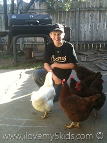 Chicken Whisperer with his flock