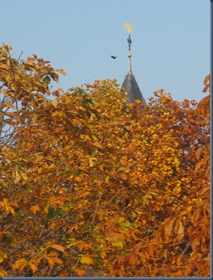 morgenbilder 004