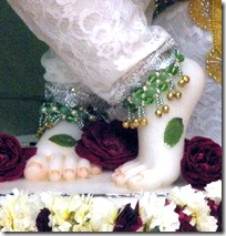 Krishna's lotus feet