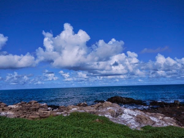 DSCN3725.JPG DSCN3725