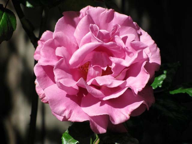 [IMG_0041%255B3%255D.jpg]