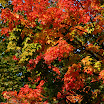 DSC01873.jpg