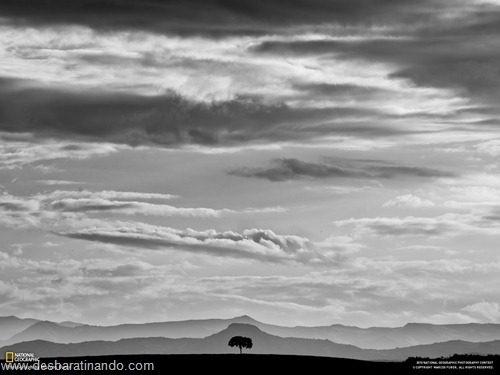 wallpapers national geographic desbaratinando (24) wallpapers national geographic desbaratinando (24)