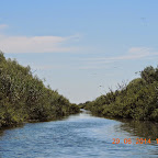DSCN4166.JPG