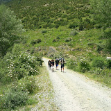 IMAG0014.JPG