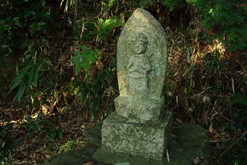 DSC00381 DSC00381