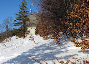 IMG_0359_resize.JPG