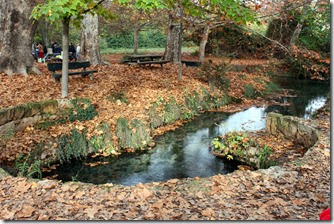 IMG_3799 IMG_3799