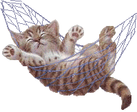 [cats_180%255B3%255D.gif]