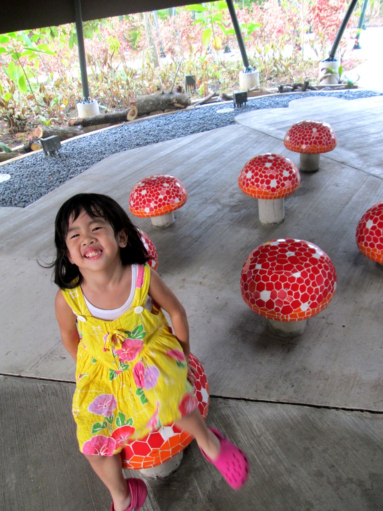 [IMG_1538%255B3%255D.jpg]