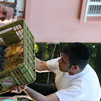 IMG_6476.JPG