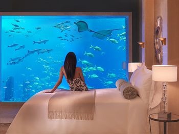 [Atlantis%2520The%2520Palm%25202.jpg]