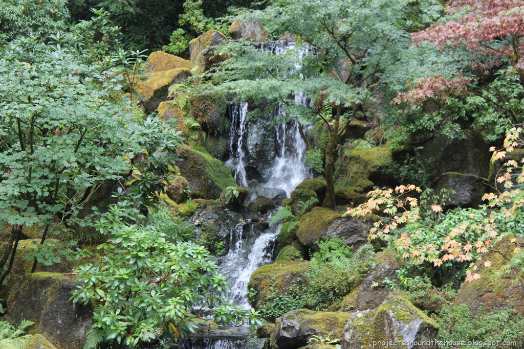 [IMG_2932%255B3%255D.jpg]