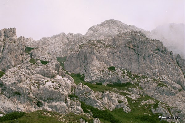 00315.jpg 00315.jpg
