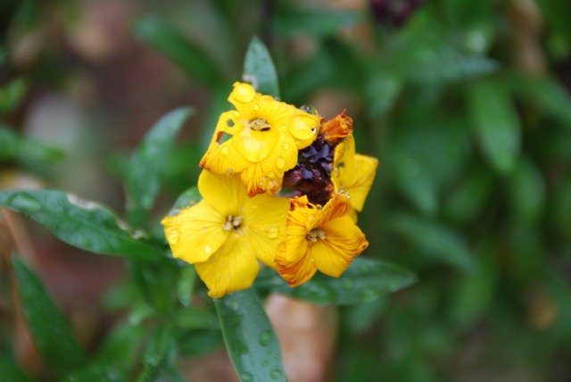 [DSC_0158%255B2%255D.jpg]