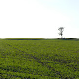 Singen in Thüringen - P1020304.JPG