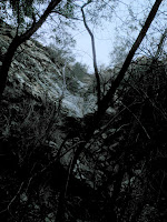 PC012366.JPG Photo