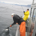 Ledbetter2011 Photo Gallery