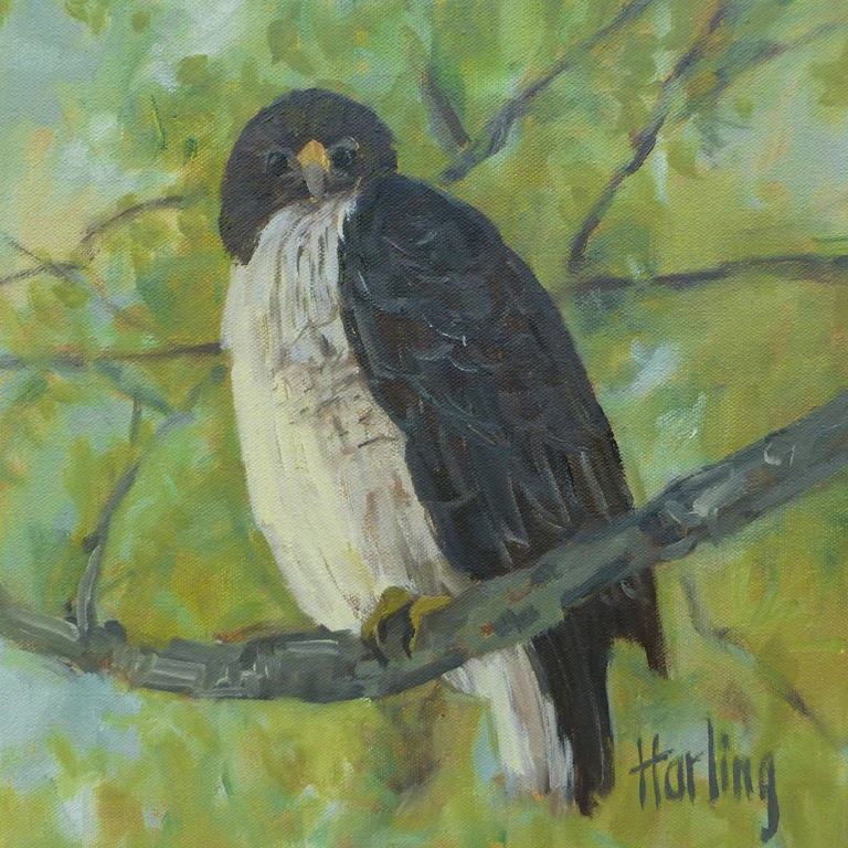 [Nester-Red-tailed-hawk-12x12in.-Crys%255B1%255D.jpg]