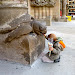 Tortoise column at Sagrada Familia having a snack