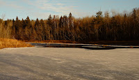 P1130788.JPG Photo