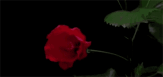 FRASES, MENSAGENS DE AMOR. PARTILHANDO AMOR. imagem-mensagens-de-amor