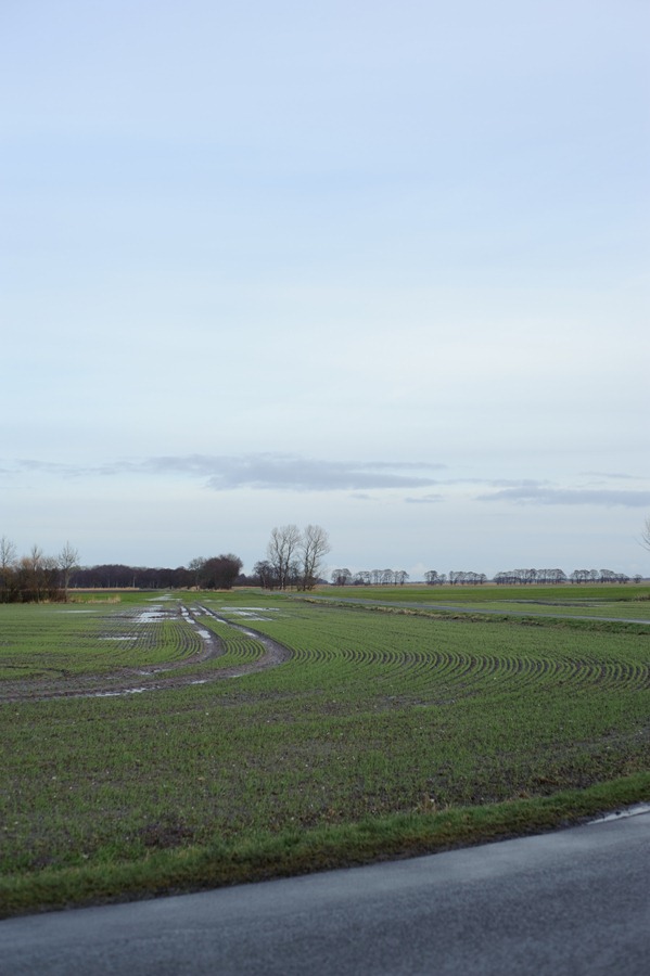 [DSC_7244%255B2%255D.jpg]