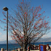 hokkaido_706.jpg