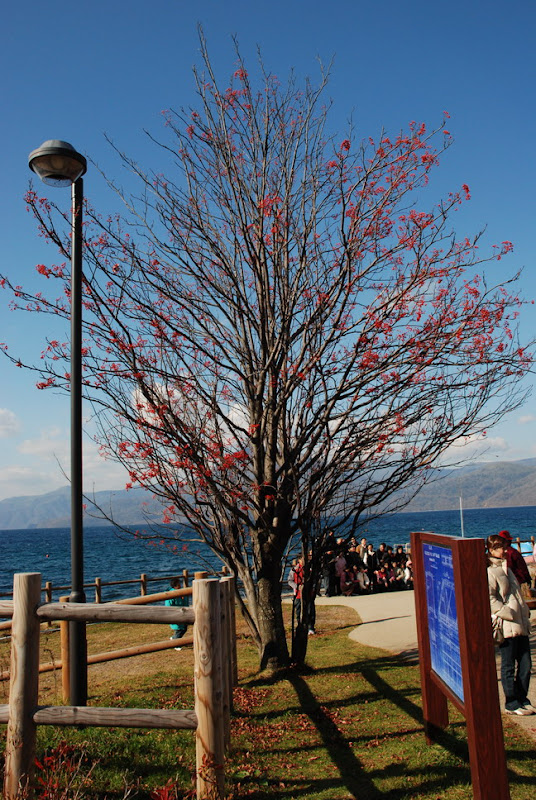 hokkaido_706.jpg