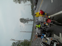 100_0268.JPG Photo