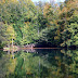 DSC_2788.JPG