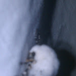 IMAG0341.jpg