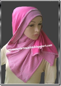 PPS pink
