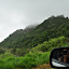 DSC_0598.JPG