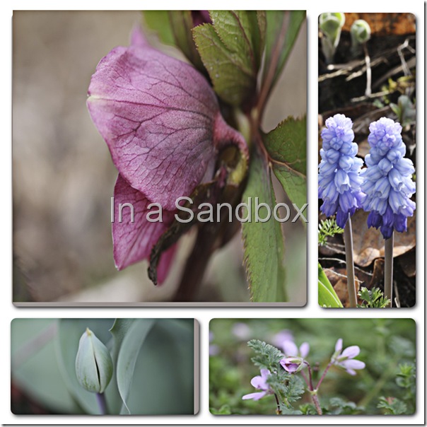 spring flowers mosaic spring flowers mosaic