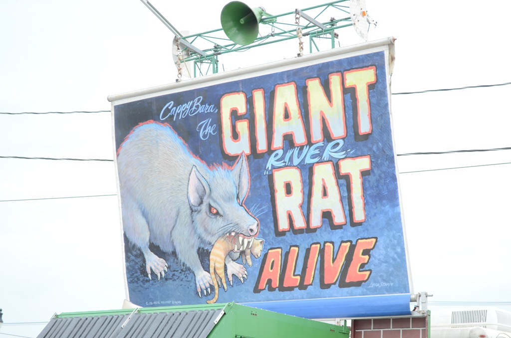 [DSC_2511%255B3%255D.jpg]